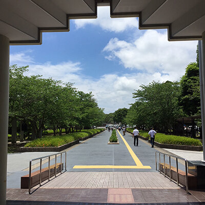 玄関前の風景