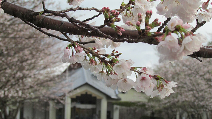 春の風景