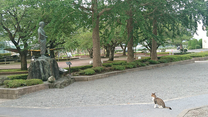 ある日の風景