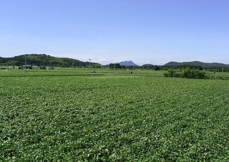 なでしこ隊見送りの地02