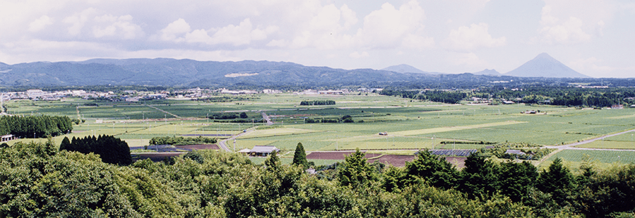 山砲座跡(猿山)